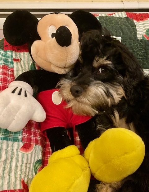Ted!